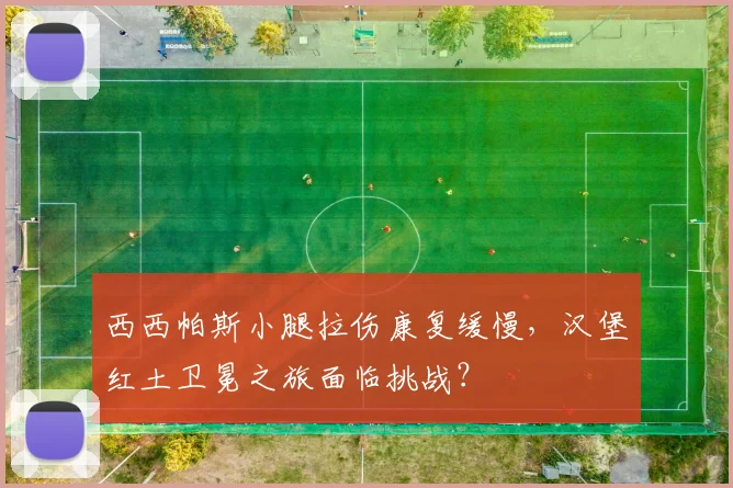 西西帕斯小腿拉伤康复缓慢,汉堡红土卫冕之旅面临挑战?